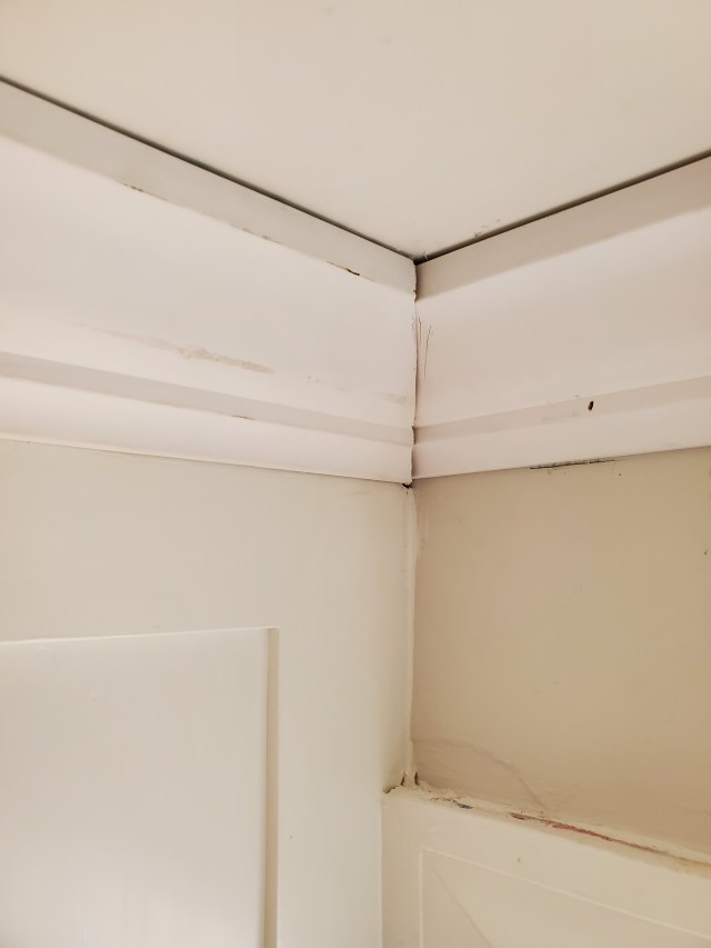 This image has an empty alt attribute; its file name is 20200628_103357.jpg